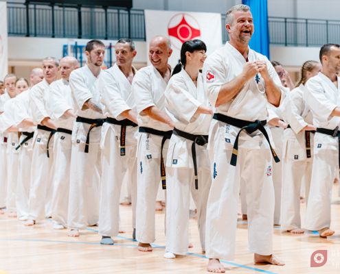 Zdjęcia przedstawiają treningi i pokazy karate, zarówno w hali sportowej, jak i na świeżym powietrzu, z udziałem wielu osób w białych strojach, wykonujących ćwiczenia, walki sparingowe oraz pozujących do zdjęć grupowych.