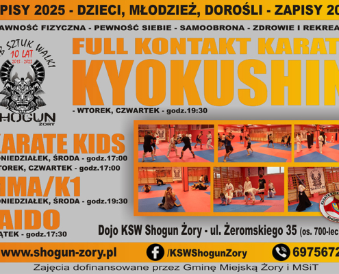 na plakacie informacje o zajęciach karate i ilustracje kolorowych karateków