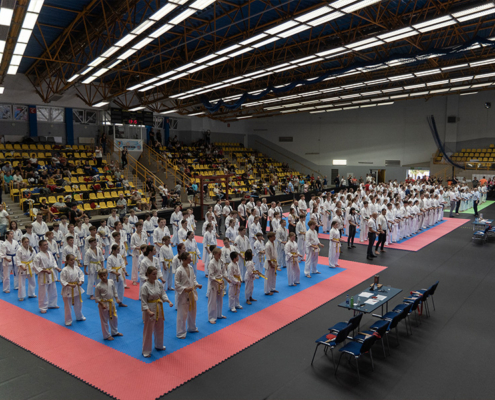galeria zdjęć przedstawia turniej karate w żorskiej hali sportowej i wręczenie nagród