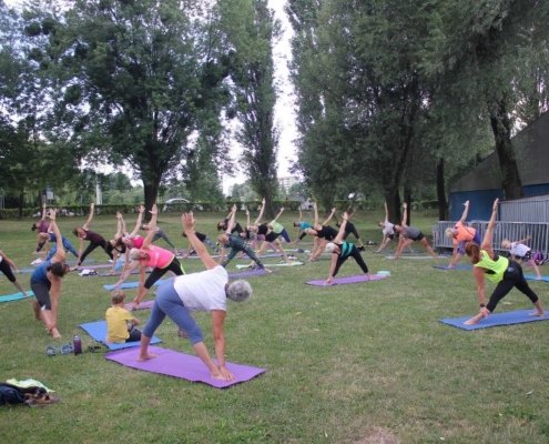 Na zdjęciu zajęcia z jogi na trawie, ćwiczący na matach