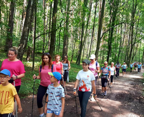 na zdjęciu grupa uczestników nordic walking maszerująca w lesie