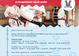 na plakacie informacje o zajęciach sztuk walki dla dzieci, u góry logo akcji zima, w centralnej części zdjęcie karateków podczas ćwiczeń
