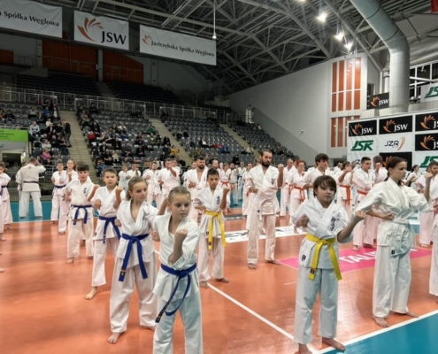 na zdjęciu grupa karateków w hali sportowej