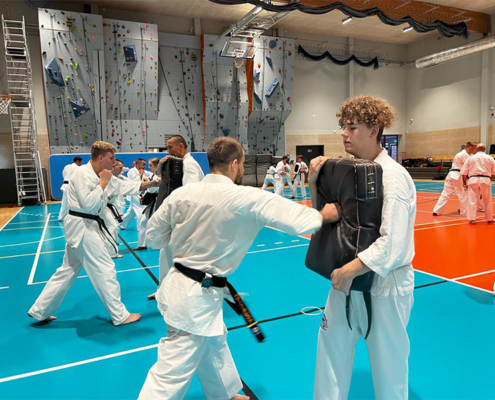 na zdjęciu karatecy ćwiczący w hali sportowej