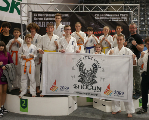 na zdjęciu karatecy na podium