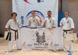 na zdjęciach turniej karate w hali sportowej i zawodnicy z banerem