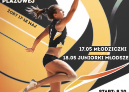 na plakacie zdjęcie zawodniczki grającej w siatkówkę plażową i szczegóły dot. mistrzostw