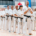 Zdjęcia przedstawiają treningi i pokazy karate, zarówno w hali sportowej, jak i na świeżym powietrzu, z udziałem wielu osób w białych strojach, wykonujących ćwiczenia, walki sparingowe oraz pozujących do zdjęć grupowych.