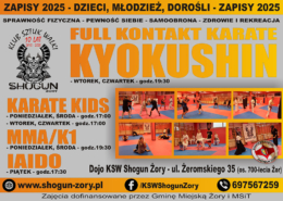 na plakacie informacje o zajęciach karate i ilustracje kolorowych karateków