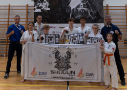 na zdjęciach turniej sztuk walki w sali sportowej i wręczenie nagród