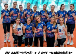 na grafikach zdjęcia zespołów na kolorowym tle, loga i informacje o wynikach meczów